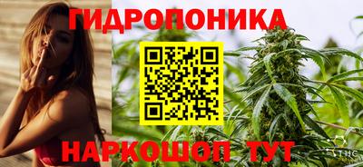крисы Будённовск
