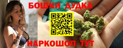 крисы Волгодонск