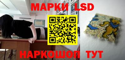 крисы Волгодонск