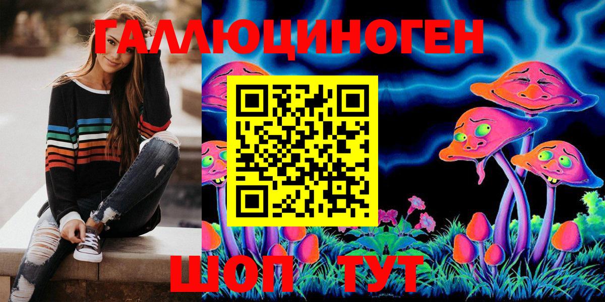 Галлюциногенные грибы Psilocybine cubensis Медногорск