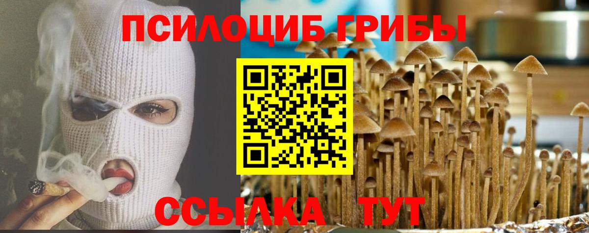 Медногорск  купить наркотик  Вход с VPN  Галлюциногенные грибы мицелий 